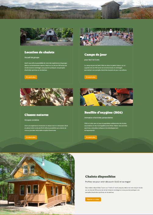 Image du site web de SAJO